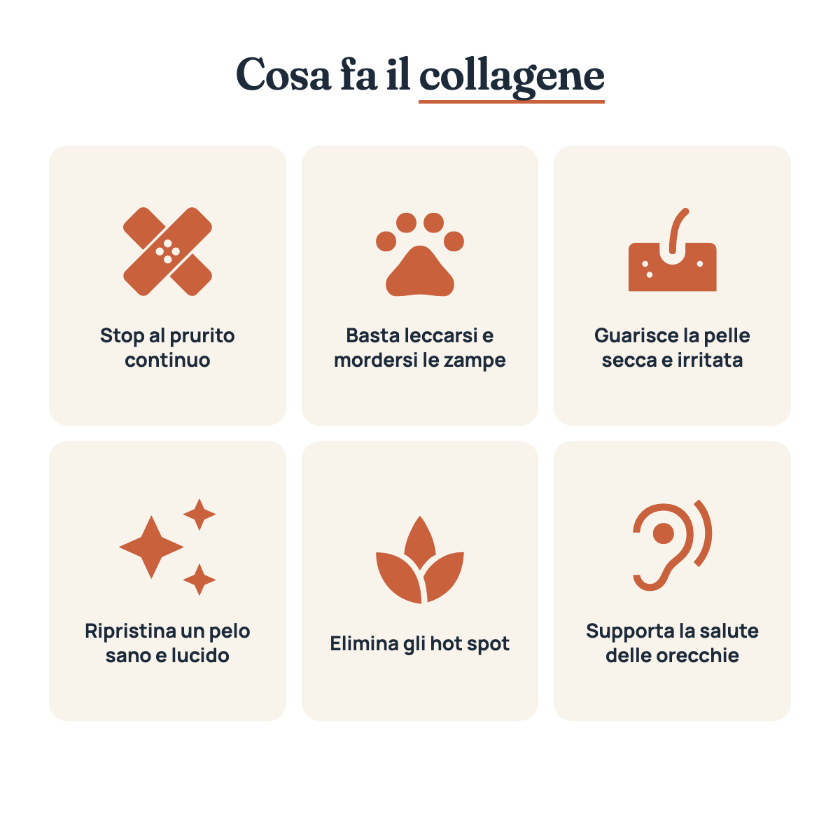 Cosa fa il collagene per il tuo cane
