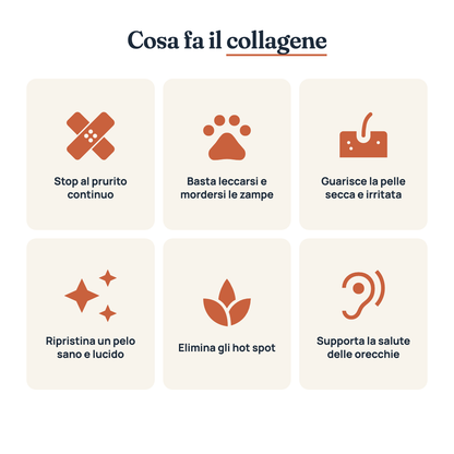 Cosa fa il collagene per il tuo cane