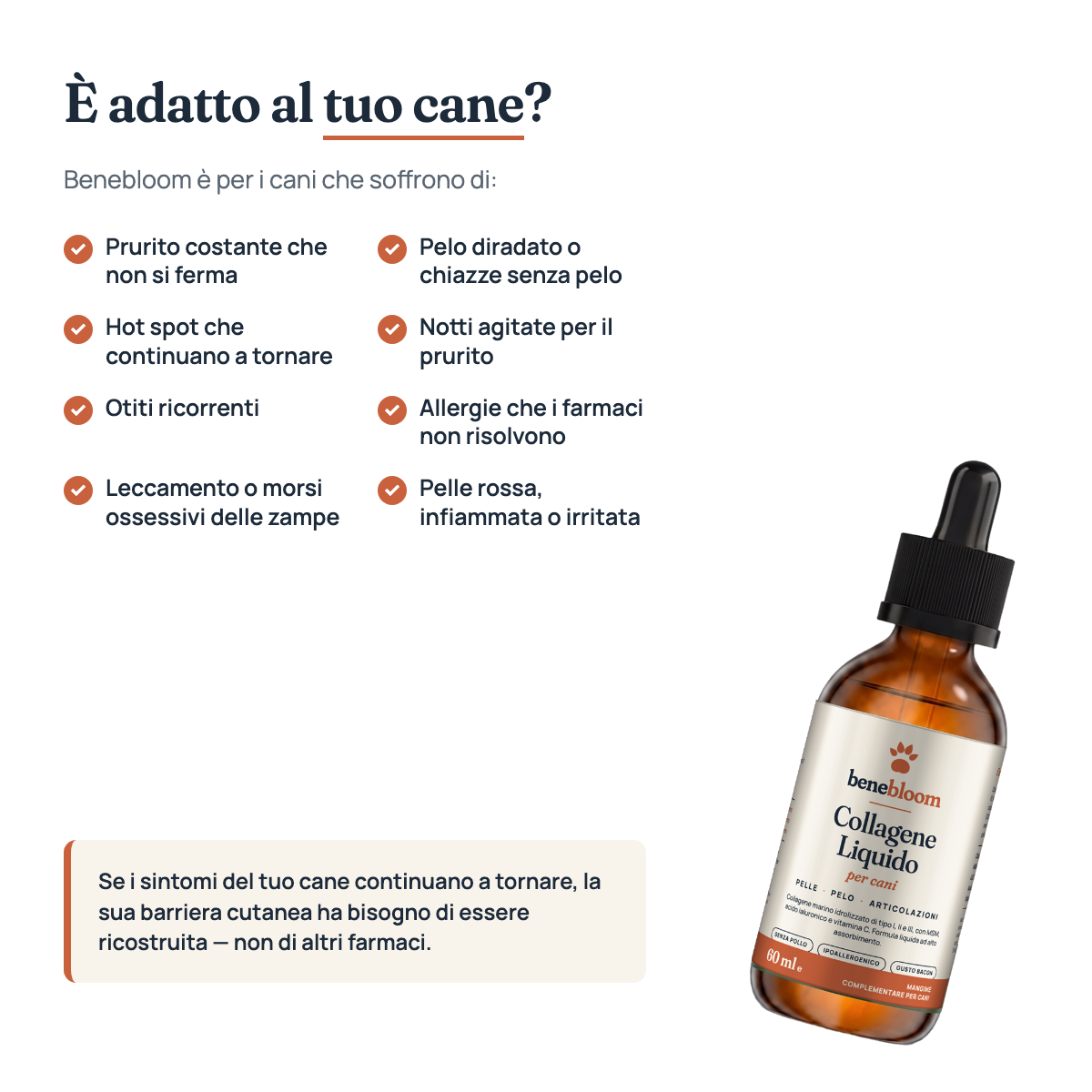 È adatto al tuo cane?